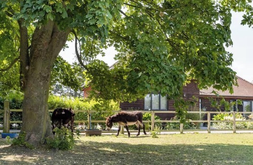 Bedford House | Peace and tranquility. 10 mins from Bedford, 15 mins from Milton Keynes