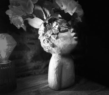 Newton Stewart House | Pink Cottage