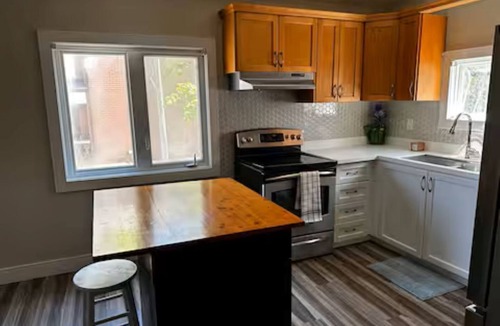 Hamilton Apartment | Renovated 2 Bedroom Apt Central Hamilton