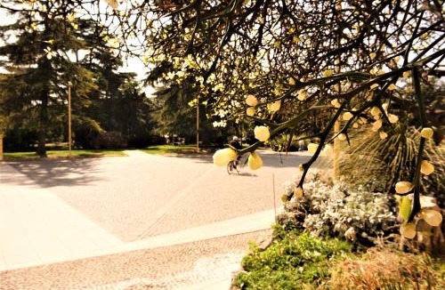 Arco Apartment | Residenza Castello - Holiday Home Garda Trentino
