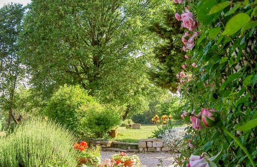 Ponte d'Assi Apartment | Rosemary Apartment