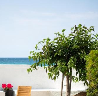 Cozze Apartment | SeaSide Paradise - Seafront Terrace Apartment by BariHouses