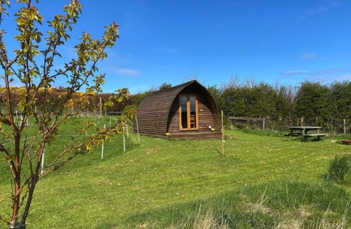 Crovie Cabin | Secluded Cabin on the Banffshire Coast