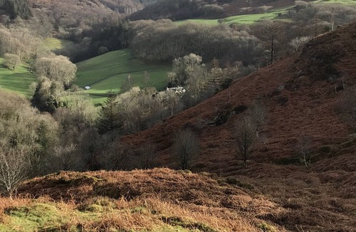 Cwrt Cottage | Secluded stone-built cottage on farm in Mid -Wales, near beaches and mountains.