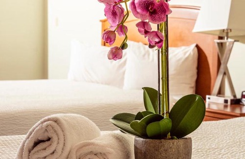 Southeast Calgary Hotel | Service Plus Inns and Suites Calgary