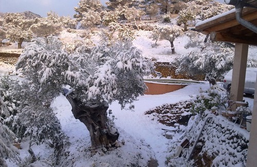 Caimari Cottage | SOLIVA.
