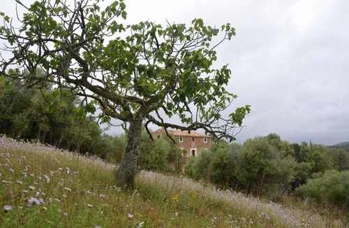 Son Macia Villa | Son Vell
