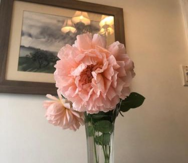 Sandy Hill House | The Ambassador