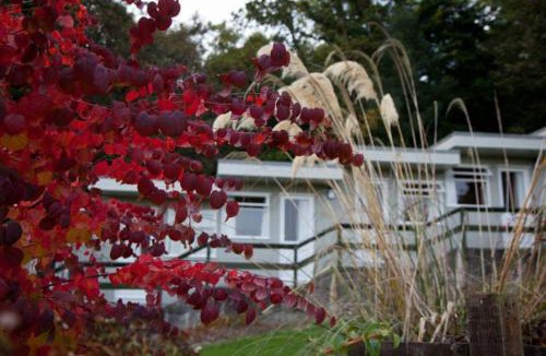 Isle of Arran Hotel | The Arran Lodge & Arran Sleep Huts
