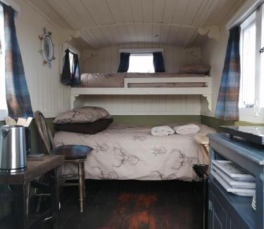 Lybster Other | The Cairn Hut