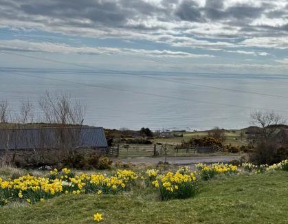 Helmsdale Apartment | The Stroops