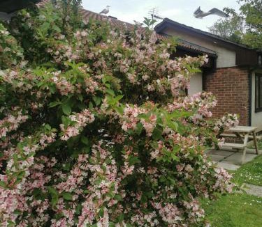 St Erth Praze Apartment | Tolroy manor holiday cottage