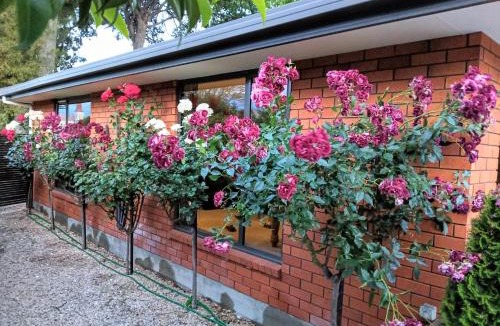 Blenheim Bed & Breakfast | Two Totara Townhouse One Bedroom Executive Townhouse