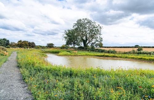 Arnold Cottage | Veiko - Mayflower Meadow