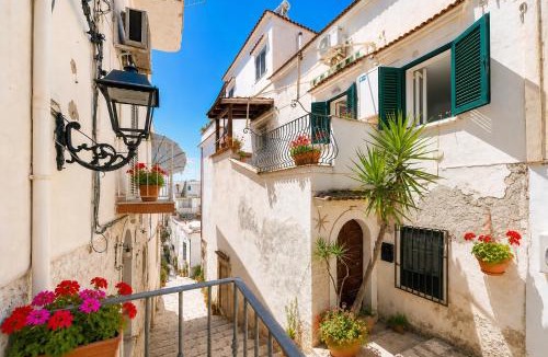 Vieste Apartment | Venti Nodi