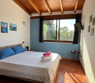Cinisi Bed & Breakfast | Villa Alelida