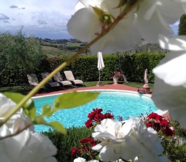 Castelfiorentino Villa | Villa Antica Sosta Renai