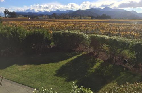 Renwick House | Vineyard View - Blenheim Holiday Home