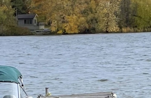 Hastings Cottage | Waterfront cottage, located in the Trent Severn Waterway, 90 min from Toronto