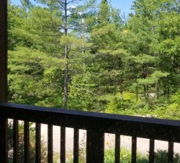 Buckhorn Cabin | Westwind Inn on the Lake