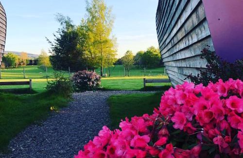 Aberuthven Bed & Breakfast | Whitemoss Lodge