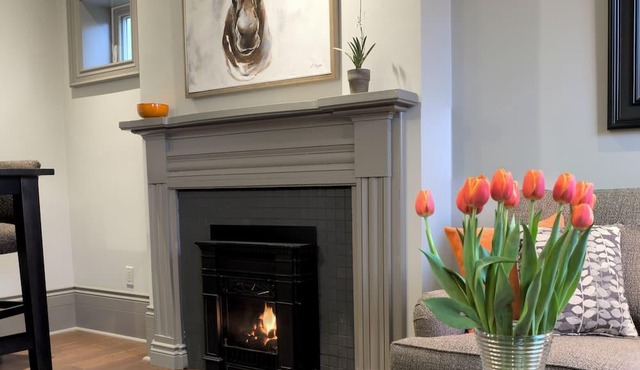 1 Bedroom Apartment in Beautifully Renovated Heritage Home (apt 2)
