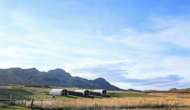 A good sized, dog friendly pod with silent surroundings.