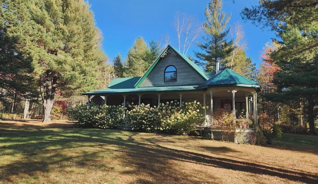 A small, rustic cabin surrounded by trees, with access to an alpaca farm!