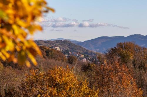 Alloggi agrituristici Paraschos