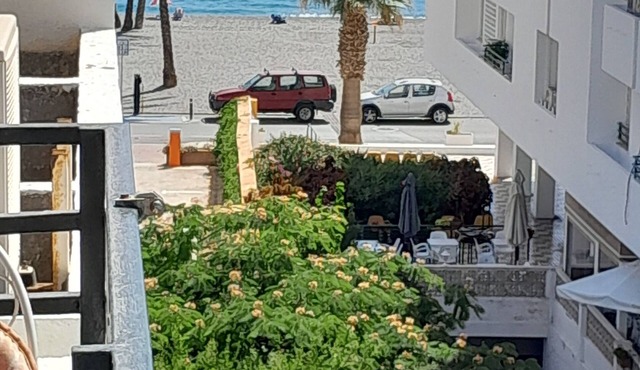 Almost on the beautiful beach of La Herradura. Pets welcome!