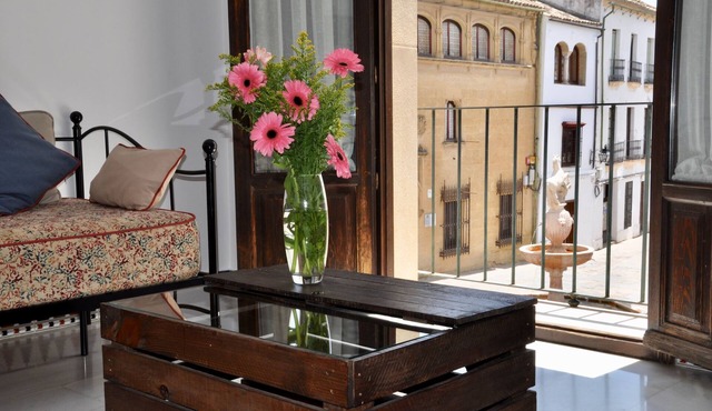 Apartamentos Plaza