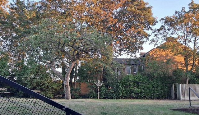 Apartment Sleeps 3 - Garden, Pets Welcome