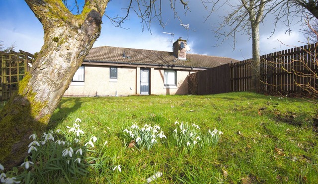 Appletree on NC500 by Interhome