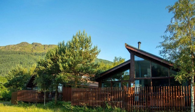 Ardgartan Argyll Golden Oak, Arrochar