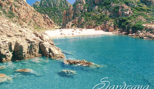 Beachfront villa - 300 meters from the sea and from the center of Costa Paradiso