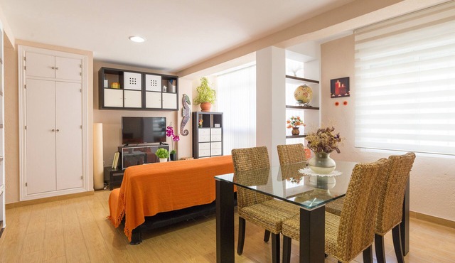 Beautiful and modern apartment in downtown Málaga