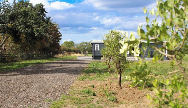 Berney Lodge - Puppy Lounge, arcades, games room