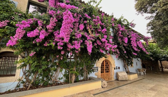 Boutique Hotel Comtal Empuries