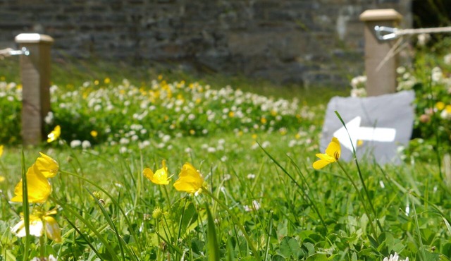 Braemore Walled Garden B&B