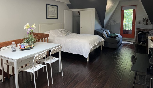 Bright & Peaceful Suite. Retail Conveniences Steps Away. Ryerson & U of T <2.6km