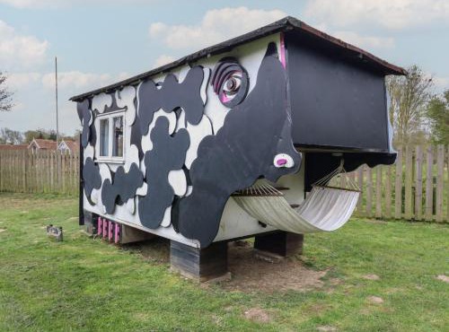 Buttercup Cow Shed 3