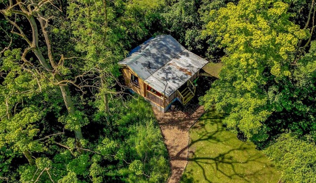 Cabin, woods, hot tub, stove, coast, porch, remote, private, secure garden.