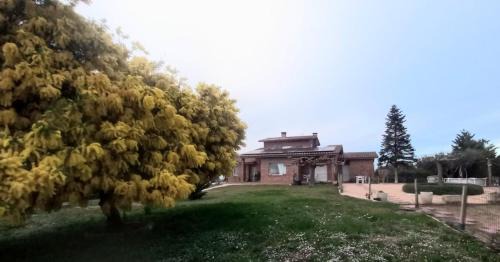 Can Carbó