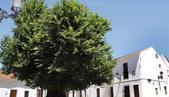 Casa coro