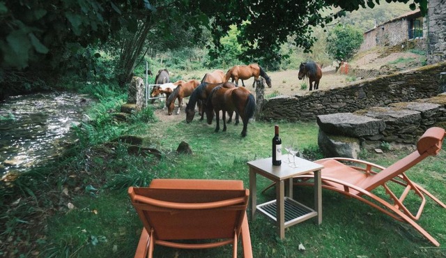Casa Grande de Covas-Rural Boutique & Agroturismo en la Ribeira Sacra