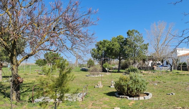 Casa Rural con Finca Privada de 5000 Metros a 4 km de Salamanca
