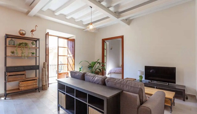 Charming apartment - Historic center