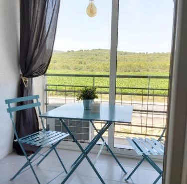Charming apartment with mountain view in Francàs - 45m²
