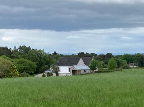 Clashmore Wood