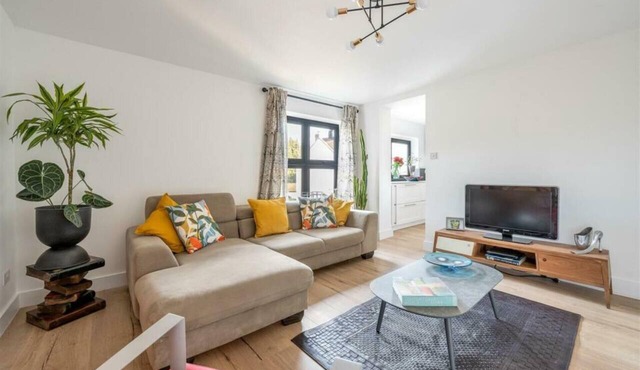 Contemporary 3BDR House in South Woodford